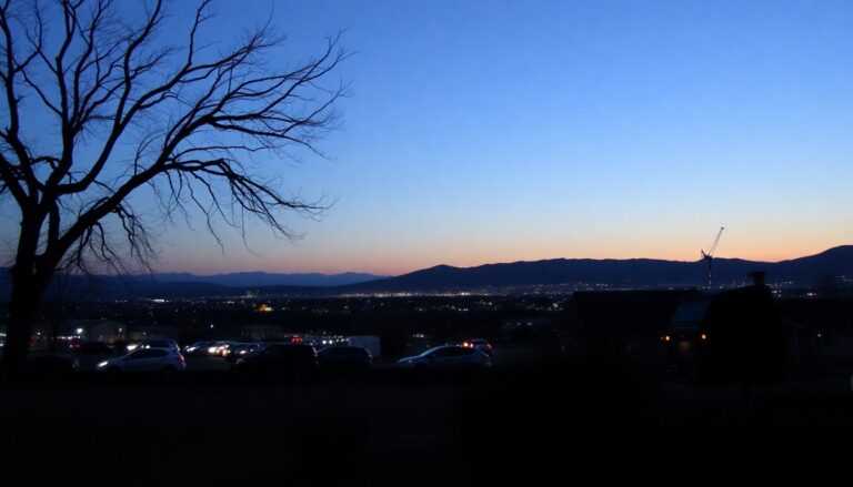 Kattenverzorgster Judith Split wint 31.200 euro met innovatieve stemherkenningstechnologie